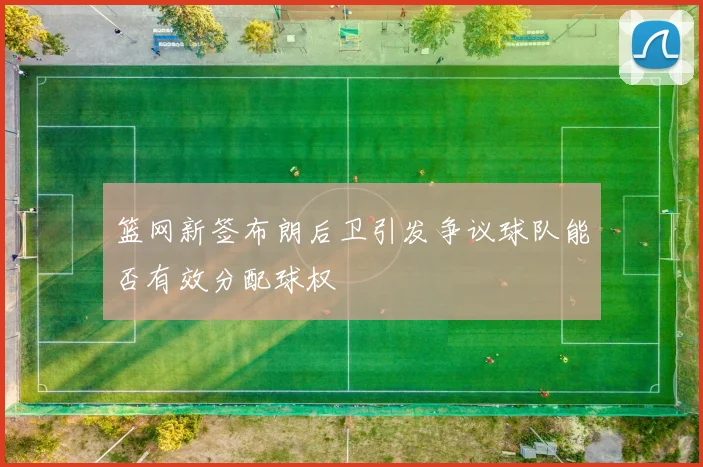 篮网新签布朗后卫引发争议球队能否有效分配球权